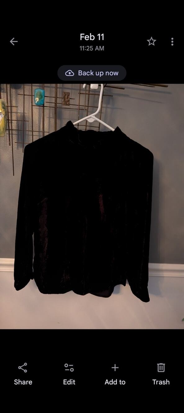 TALBOTS Velvet Classic Blouse S/P